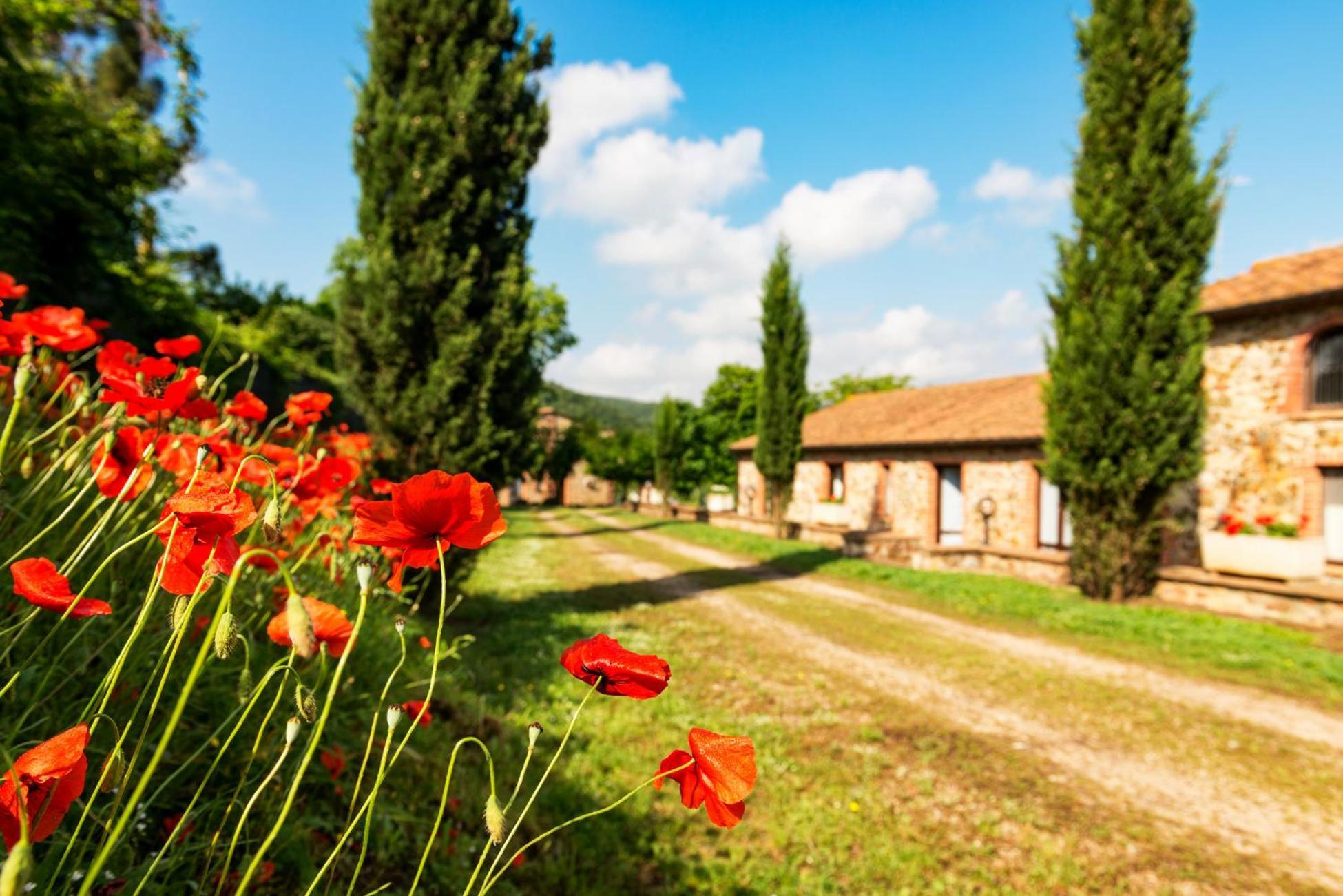 Apartament Podere Cascatelle&Agriletizia - Cascate Naturali Massa Marittima Zewnętrze zdjęcie